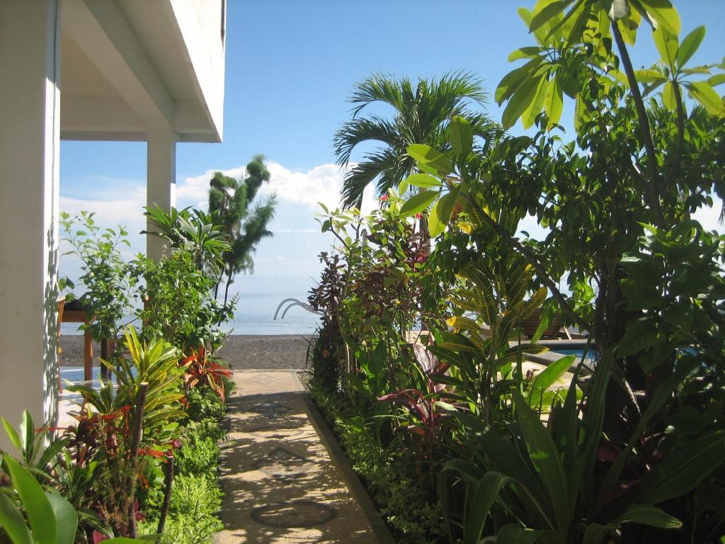 Lucky Paradise Bungalows On The Beach Amed Exteriér fotografie
